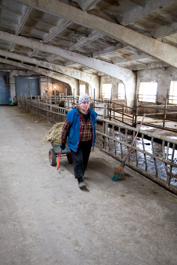 Сучасна молочна ферма в Харківській області