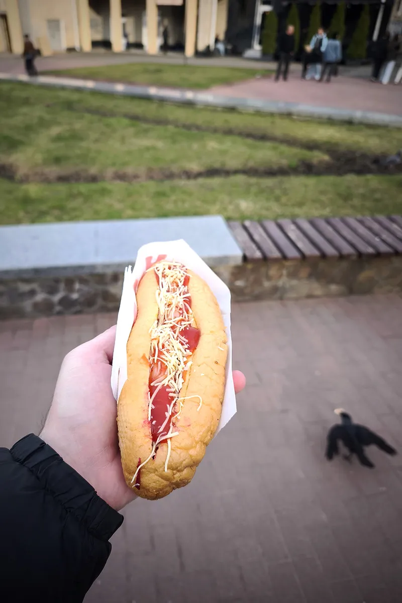 Смачний хот-дог в Хмельницькому